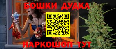apvp Партизанск