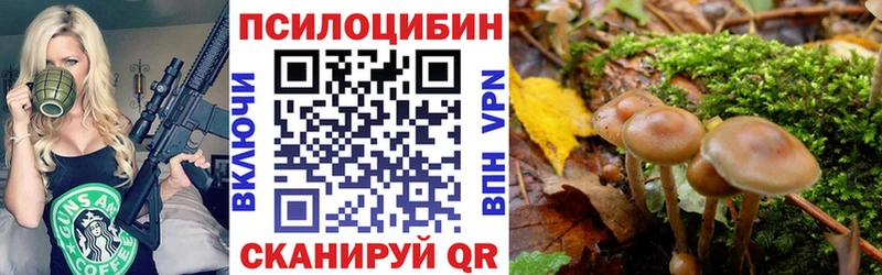 Псилоцибиновые грибы Magic Shrooms сколько стоит Туймазы