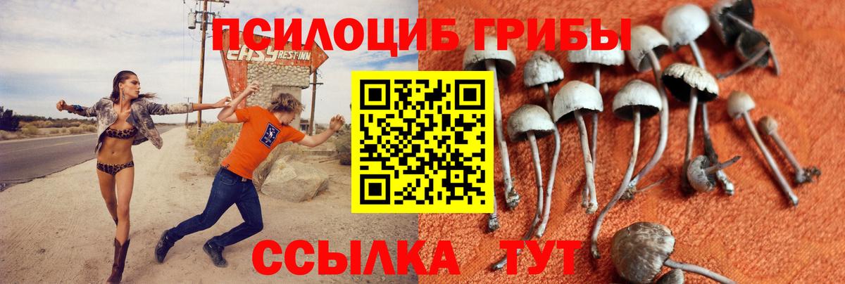 Псилоцибиновые грибы ЛСД  Псилоцибиновые грибы Magic Shrooms  Вход с VPN  Туймазы 